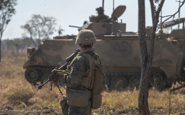 Marines and Australian conduct a mechanized infantry assault for Exercise Koolendong