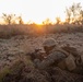 Animal Co. Conducts an air raid during Exercise Koolendong