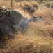 Animal Co. Conducts an air raid during Exercise Koolendong