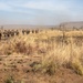 Animal Co. Conducts an air raid during Exercise Koolendong