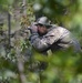 USAJFKSWCS Sniper Training