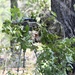 USAJFKSWCS Sniper Training