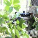 USAJFKSWCS Sniper Training