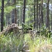 USAJFKSWCS Sniper Training