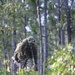 USAJFKSWCS Sniper Training