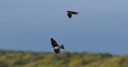 What is climate change really changing? A look at the individuals most at risk