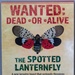 Dover AFB, USDA turn lights out on Spotted Lanternfly