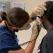 U.S. Naval Hospital Naples Offers Back to School Physicals, COVID-19 Vaccine