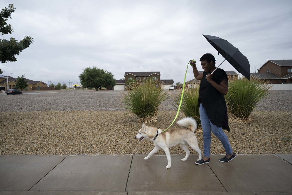 Holloman leash and bike safety policies