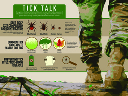 Tick Talk
