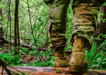 TRICARE Tips To Protect Yourself From Ticks