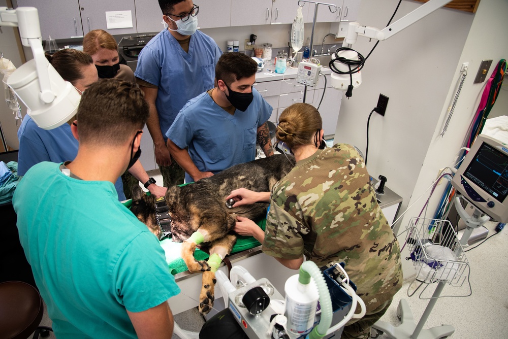Cherry Point Sailors, Soldiers Cross Train to Treat Patients, Share Best Practices