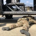 U.S. Army EOD technician coordinates training for large scale combat operations