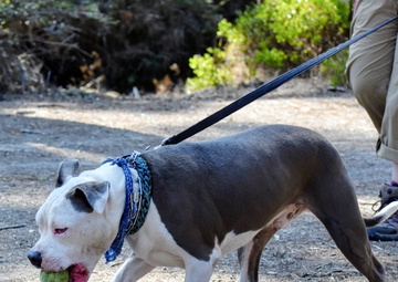 Presidio of Monterey Volksmarch provides outdoor fun, information and vaccinations