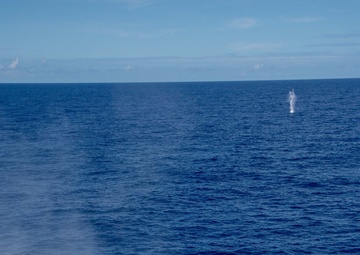 USS Portland (LPD 27) Mk46 Exercise