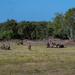 Joint training sharpens Camp Simba medics’ skills