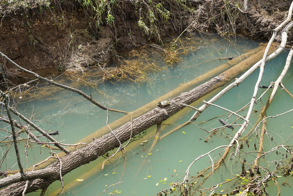 Debris is Still in Creek Below Ben Hooper Petty Bridge