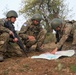 Turkish Coy Monitor the Administrative Boundary Line