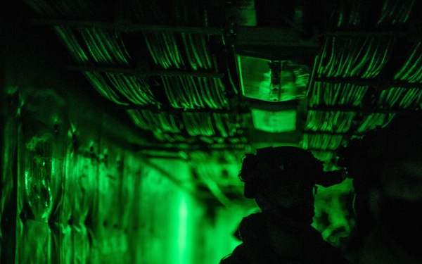 Alpha Co., BLT 1/1 bald eagle rehearsal