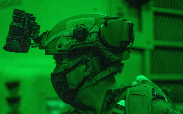 Alpha Co., BLT 1/1 bald eagle rehearsal