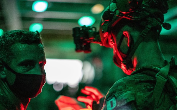 Alpha Co., BLT 1/1 bald eagle rehearsal