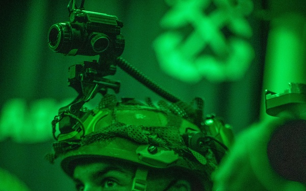 Alpha Co., BLT 1/1 bald eagle rehearsal