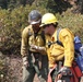 DoD Wildland Firefighting Response
