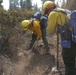 DoD Wildland Firefighting Response