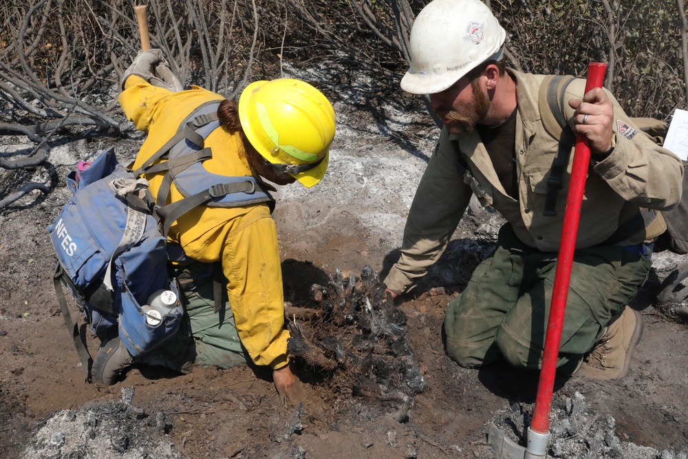 DoD Wildland Firefighting Response