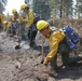 DoD Wildland Firefighting Response