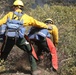 DoD Wildland Firefighting Response