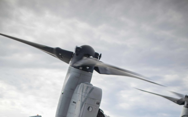 BLT 1/1 Charlie Company QRF rehearsal