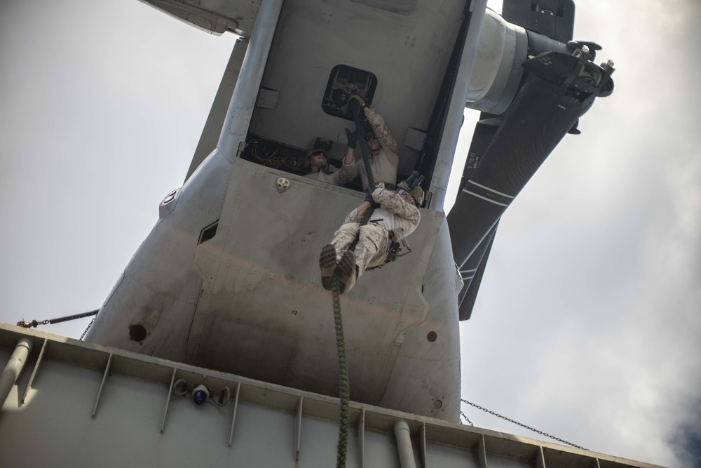 ADRD conducts fast-rope training aboard USS Essex (LHD 2)