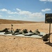 U.S., Egyptian and other partner nations Special Operations Forces execute live fire battle drills at Bright Star 21