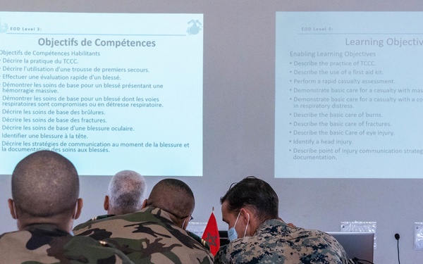 Humanitarian Mine Action 2021