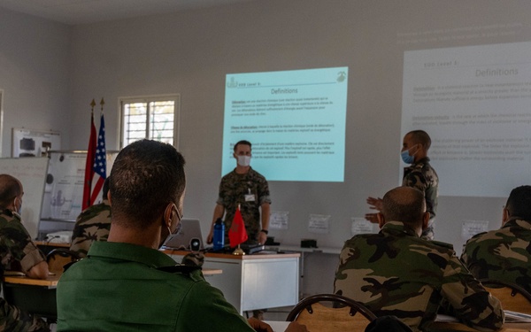 Humanitarian Mine Action 2021