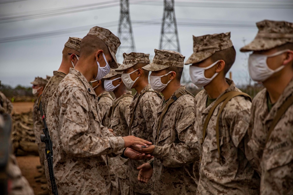 Delta Company Crucible