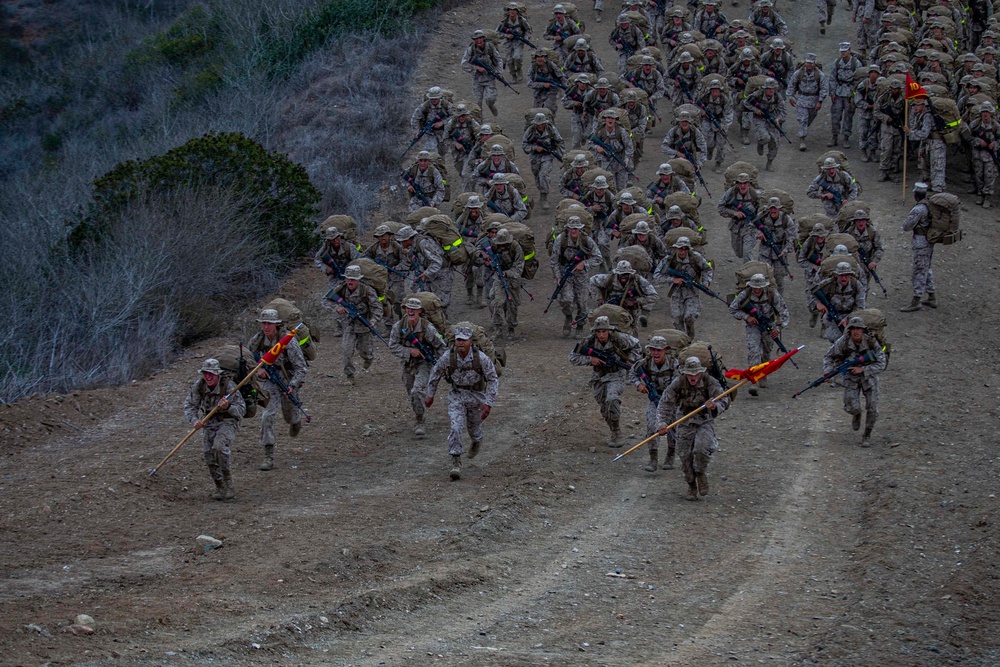 Delta Company Crucible