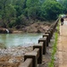 Damaged Bridge in Nunnelly, Tennessee