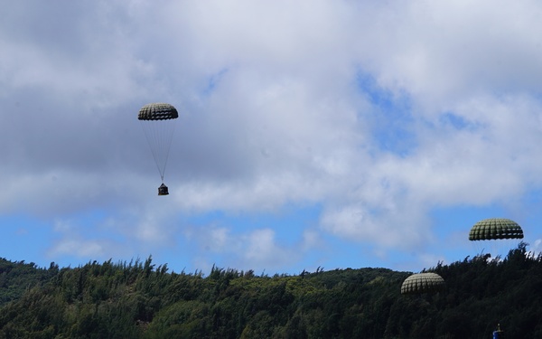 Container Delivery System Equipment Drop