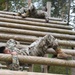 Air Assault course at 7ATC