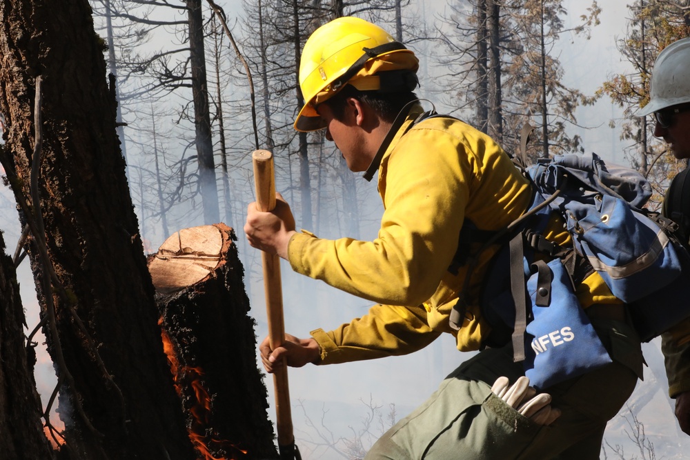 DoD Wildland Firefighting Response