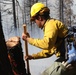 DoD Wildland Firefighting Response