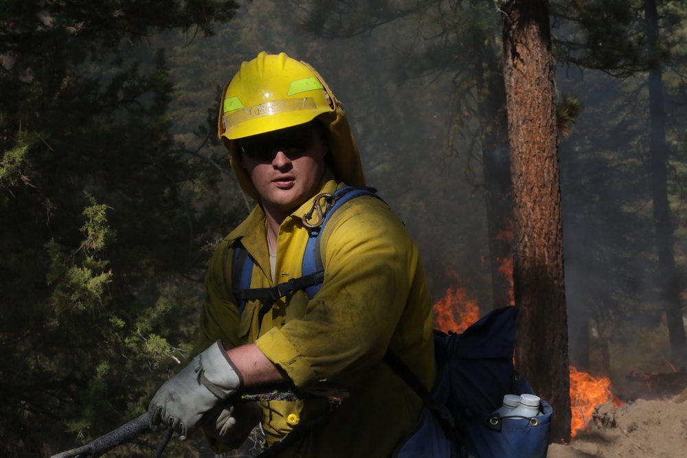 DoD Wildland Firefighting Response