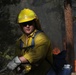 DoD Wildland Firefighting Response