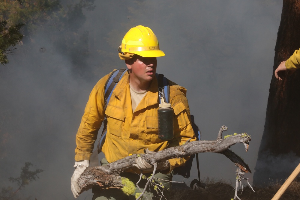 DoD Wildland Firefighting Response