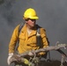 DoD Wildland Firefighting Response