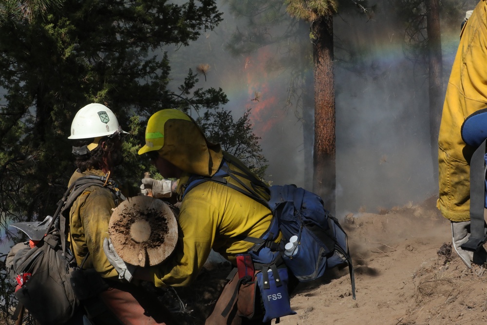 DoD Wildland Firefighting Response