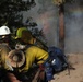 DoD Wildland Firefighting Response