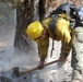 DoD Wildland Firefighting Response